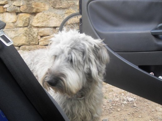 luquitas a pie de coche